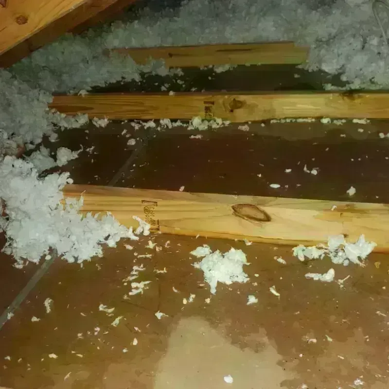 Attic Water Damage in Sophia, WV