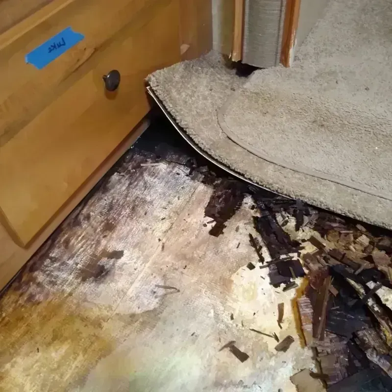 Wood Floor Water Damage in Sophia, WV